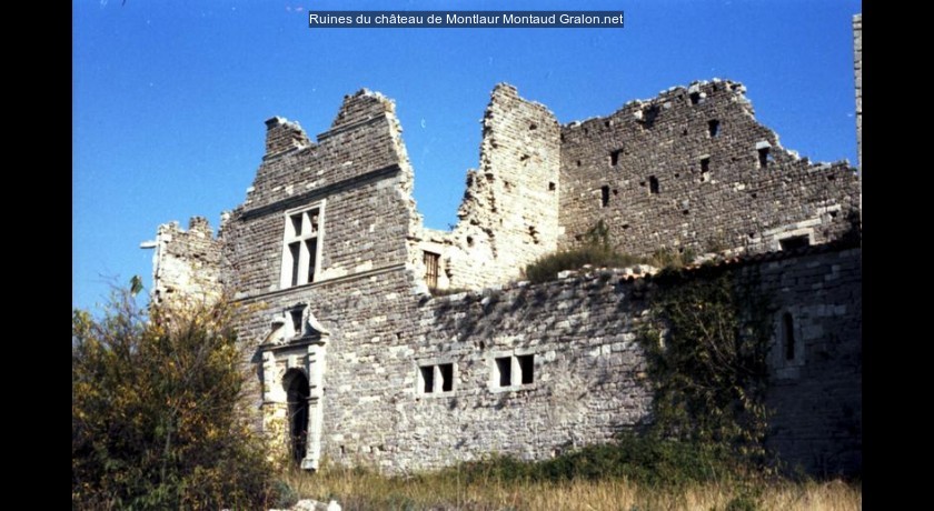 Ruines du château de Montlaur