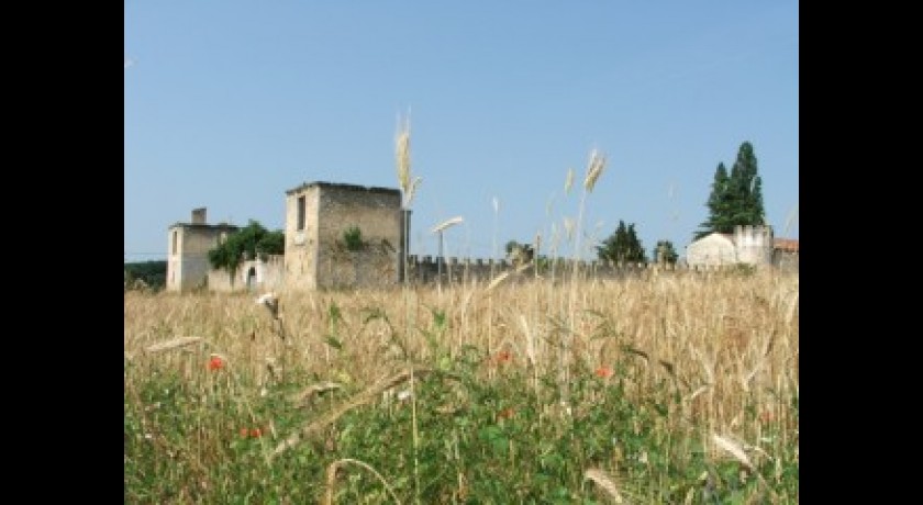 Ruines du Château de Saint-Cricq