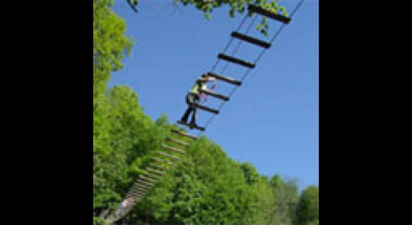 Saint Nectaire, aventures dans les arbres