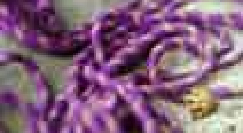 Salle d'escalade indoor de Thiais