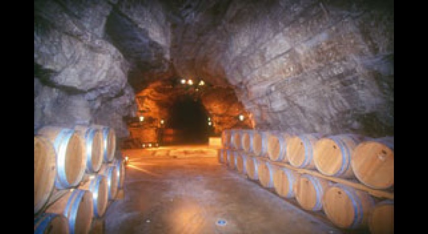 Terra Vinae