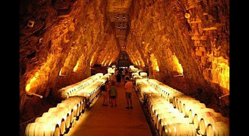 Terra vinea, musée de le civilisation du vin méditerranéenne 