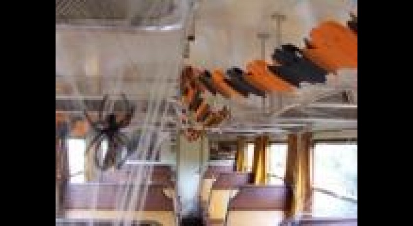 Train d'Halloween