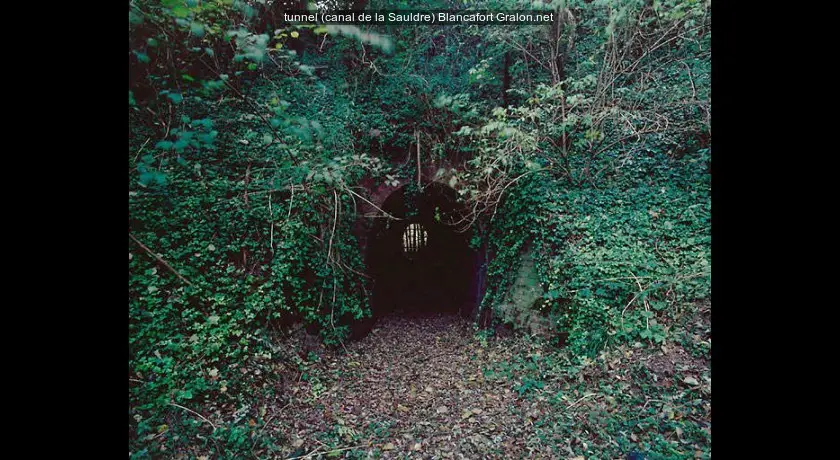 tunnel (canal de la Sauldre)