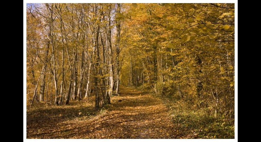 Vallée de la Moselle : Bainville