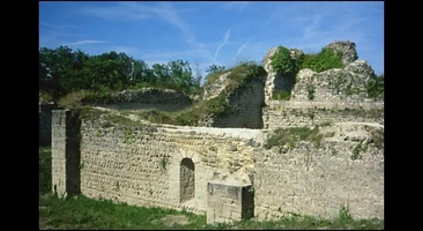 Vestige du Chateau d'Ivry La Bataille