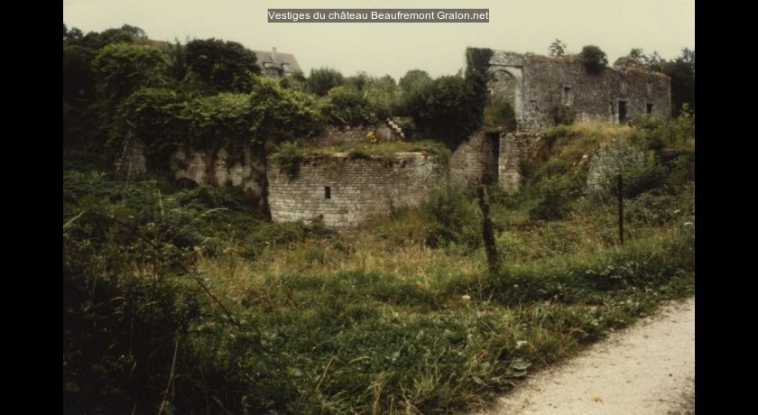 Vestiges du château Beaufremont tourisme