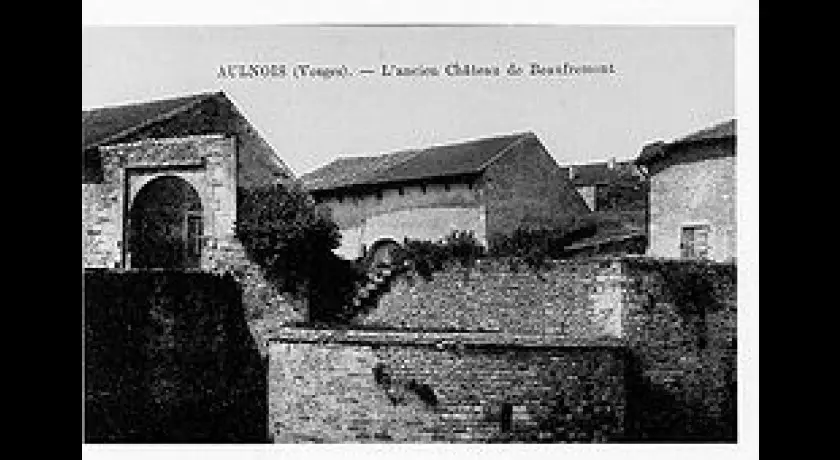 Vestiges du château à Beaufremont (88)