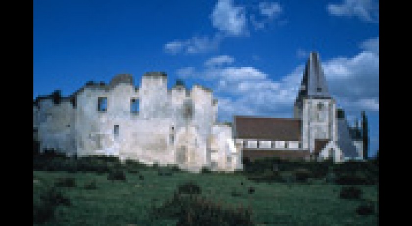 Vestiges du chateau de picquigny Picquigny tourisme sites et monuments