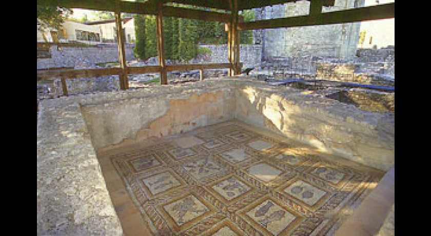 Villa et Thermes Gallo-Romains - Musée de Fouilles