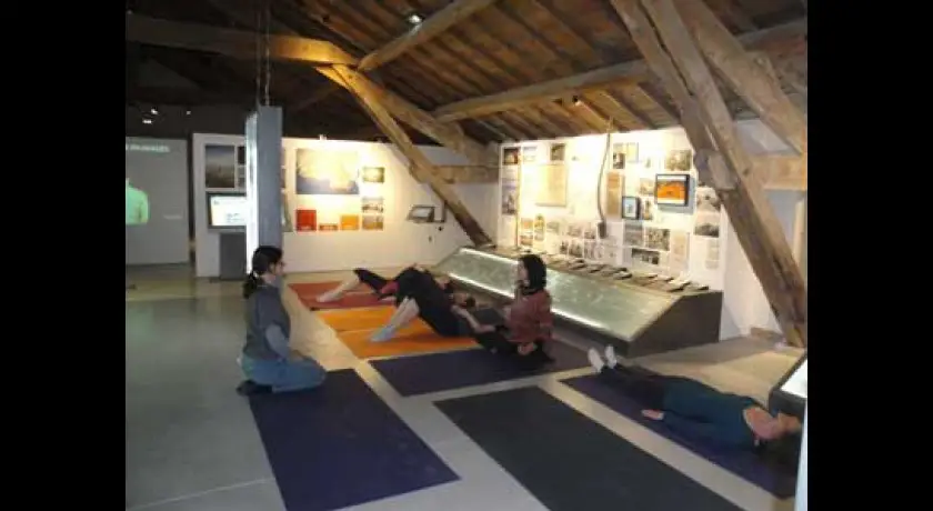 Yoga au musée : découverte de territoires